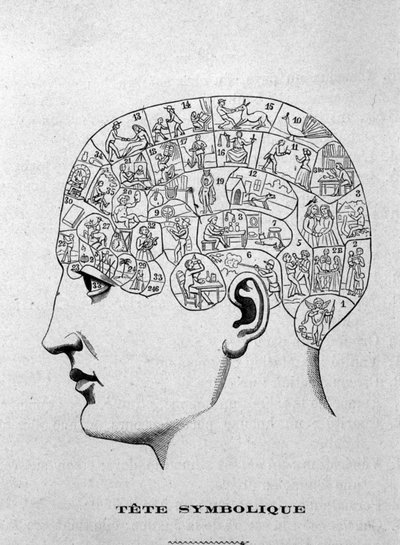 Symbolischer Kopf. Illustration aus Charles Rouvins Buch von 1873 „La Tête humaine“, illustrierte Studien der Phrenologie und Physiognomie angewandt auf berühmte Persönlichkeiten, Paris 1873. von Unknown artist