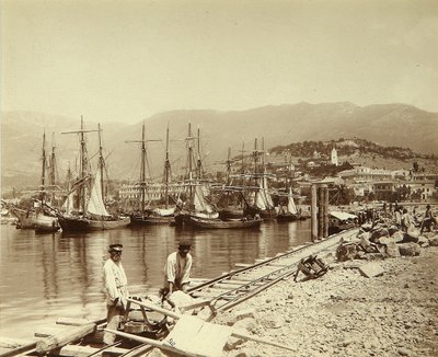 Der Bau eines Piers in Jalta von Unknown artist