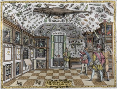 Ansicht des Museums (Kabinetts) der Kuriositäten (enzyklopädisches Museum) des Apothekers Ferrante Imperato (1550 - 1631). Gravur von 1678. Museum des neapolitanischen Apothekers Ferrante Imperato. von Unknown artist