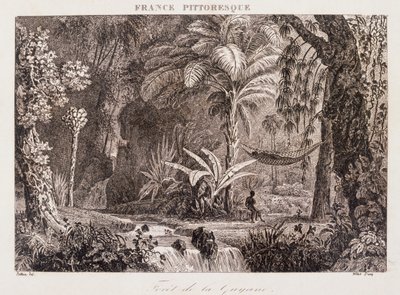 Gravur, die die französische Kolonie Guyana in Südamerika 1850 darstellt von Unknown artist