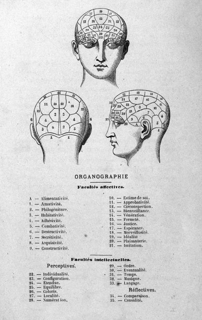 Illustration aus Charles Rouvins Buch von 1873 Organographie La Tête humaine, illustrierte Studien der Phrenologie und Physiognomie angewendet auf berühmte Persönlichkeiten Paris 1873 von Unknown artist