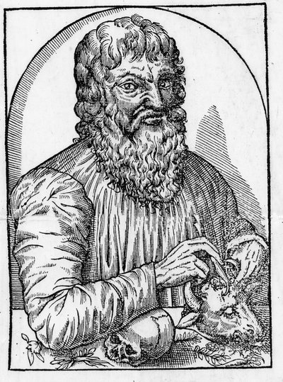 Porträt von Hippokrates (460- ca. 377 v. Chr.), griechischer Arzt von Unknown artist