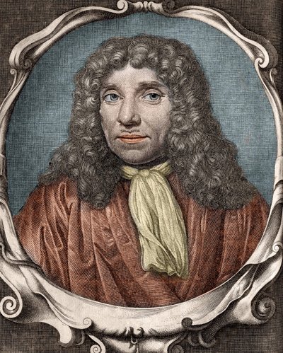Anthony Van Leeuwenhoek oder Anton van Leeuwenhoek, oder Leeuvenhoek, oder Leeuwenhoeck. Niederländischer Naturforscher (1632 bis 1723). Gravur 18. Jahrhundert von Unknown artist