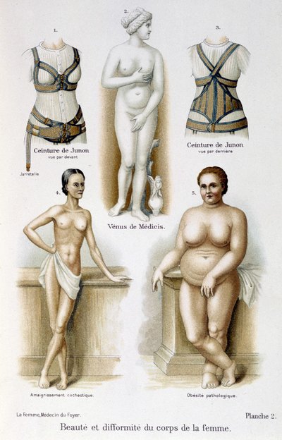 Schönheit und Hässlichkeit des Frauenkörpers (mager und fettleibig); Junos Gürtel - in „Die Frau, Hausärztin“ von Unknown artist