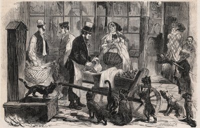 Katzenfleischmann auf einer Straße im Westminster-Viertel von London, ein gehender Pferdefleischhändler für Hunde und Katzen - Gravur in „The Illustrous World“ von Unknown artist