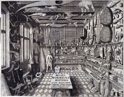 Frontispiz von Musei Wormiani Historia, zeigt das Innere des Kuriositätenkabinetts von Ole Worm von Unknown artist