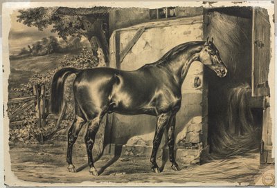 Pferd vor einer Scheune (Rückseite) von Unknown artist