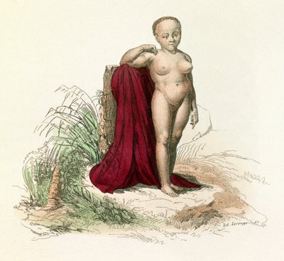 Illustration aus dem Buch "Gesammelte Werke von Buffon": Naturgeschichte des Menschen: Weiße Negresse (Gravur) von Unknown artist