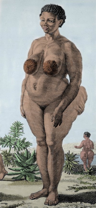 La Venus Hottentote, Frau der Bochiman-Rasse; (Die Hottentotten-Venus), Gravur von 1815 von Unknown artist