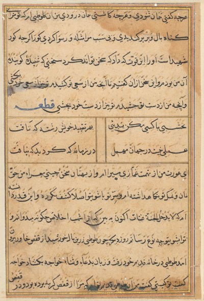 Seite aus Geschichten eines Papageis (Tuti-nama): Textseite von Unknown artist