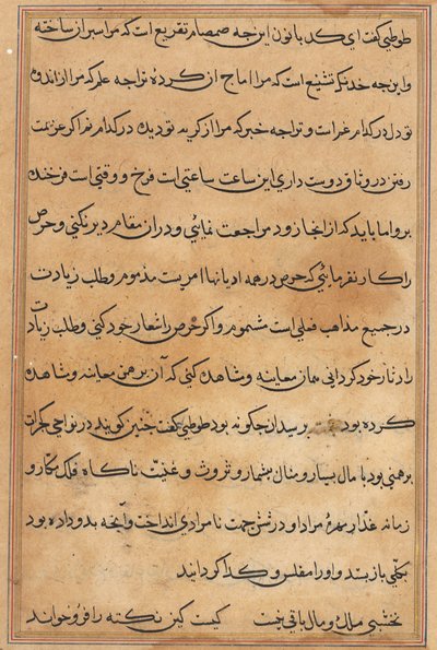 Seite aus Geschichten eines Papageis (Tuti-nama): Textseite von Unknown artist