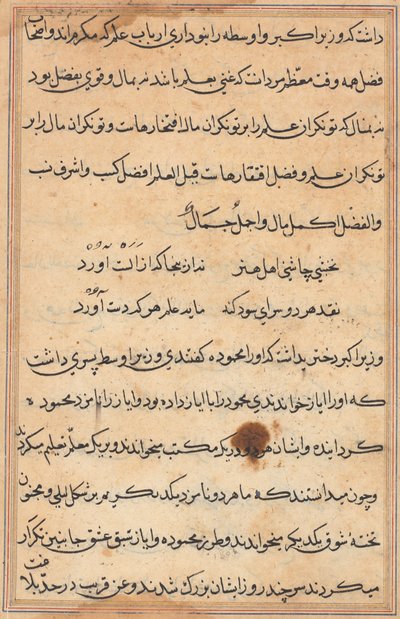 Seite aus Geschichten eines Papageis (Tuti-nama): Textseite von Unknown artist