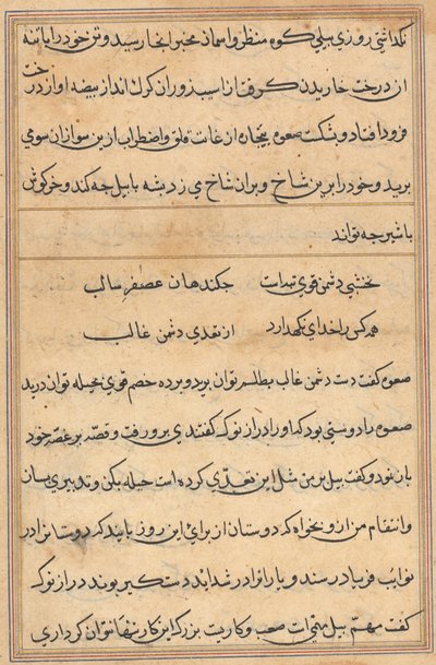 Seite aus Geschichten eines Papageis (Tuti-nama): Textseite von Unknown artist