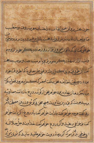 Seite aus Geschichten eines Papageis (Tuti-nama): Textseite von Unknown artist
