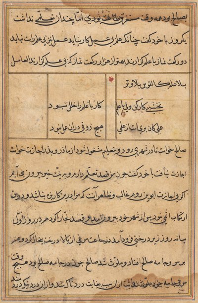 Seite aus Geschichten eines Papageis (Tuti-nama): Textseite von Unknown artist
