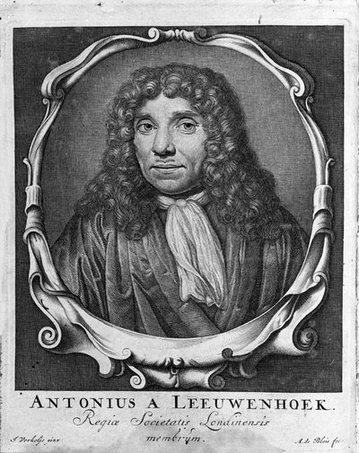 Porträt des niederländischen Händlers und Gelehrten Antoine van Leeuwenhoek (oder Leeuvenhoek Leeuwenhoeck) (oder Antoni oder Anthonie) (1632-1723). Gravur aus „Investigatio Arcanorum“ 1722 von Unknown artist