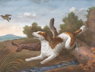 Springer: Ein Spaniel springt über einen Baumstamm, um eine Schnepfe links aufzuscheuchen von Unknown artist