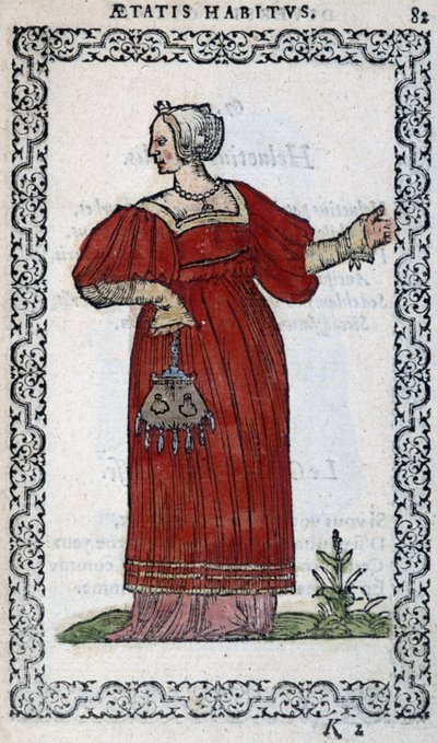 Schweizer Frau - in „Habits et effigies“ von Jean Sulperius von Unknown artist
