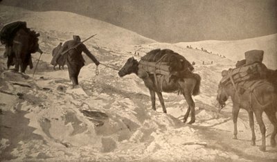 Die französischen und italienischen Positionen haben mehr als 2 Meter Schnee über dem Meeresspiegel von Unknown photographer