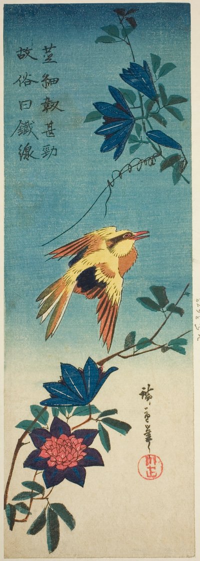 (Faksimile?) Schwarznackenpirol und Clematis von Utagawa Hiroshige