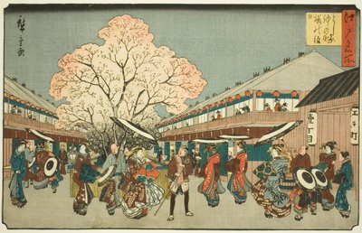 Kirschblütentag auf dem Nakanocho von Yoshiwara, aus der Serie "Berühmte Orte in Edo" von Utagawa Hiroshige