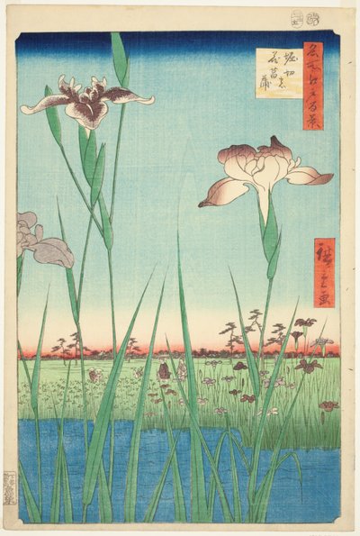 Schwertlilien in Horikiri (Horikiri no hanashobu), aus der Serie "Hundert berühmte Ansichten von Edo (Meisho Edo hyakkei)" von Utagawa Hiroshige