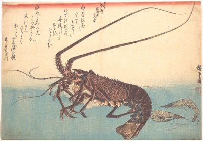 Ise-ebi und Shiba-ebi, aus der Serie Uozukushi (Jede Fischart) von Utagawa Hiroshige