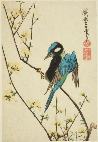Java-Sperling auf Kirschzweig von Utagawa Hiroshige