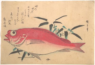 Medetai Fush und Sasaki Bambus, aus der Serie Uozukushi (Jede Art von Fisch) von Utagawa Hiroshige