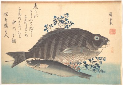 Shimadai und Ainame Fisch, aus der Serie Uozukushi (Jede Fischsorte) von Utagawa Hiroshige