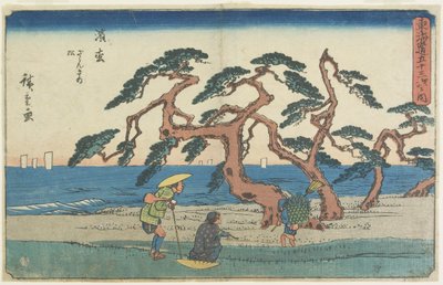 Das Kiefernfeld in Hamamatsu von Utagawa Hiroshige