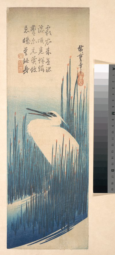 Weißer Reiher zwischen Schilf von Utagawa Hiroshige