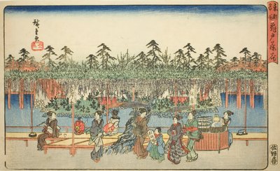 Blauregen in Kameido (Kameido Tenjin fuji hana), aus der Serie "Berühmte Orte in der östlichen Hauptstadt (Toto meisho)" von Utagawa Hiroshige