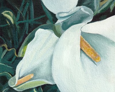 Elegante weiße Lilien von Viccy Wanliss