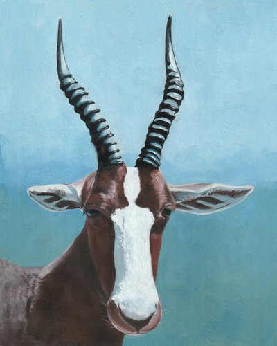 Gemaltes Blesbok-Blick von Viccy Wanliss