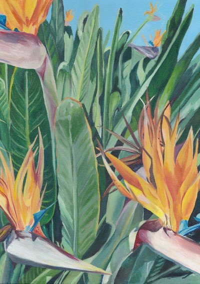 Lebendiger Paradiesvogel von Viccy Wanliss