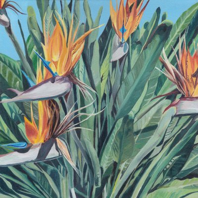 Lebendiger Paradiesvogel von Viccy Wanliss