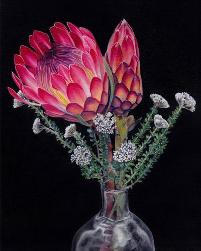 Lebendige Protea-Blüten von Viccy Wanliss