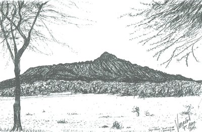 Berg vom Bootsclub am Lake Naivasha, Kenia von Vincent Alexander Booth