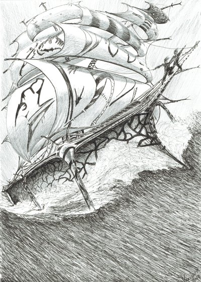 Sturmerschaffer Arafurasee von Vincent Alexander Booth
