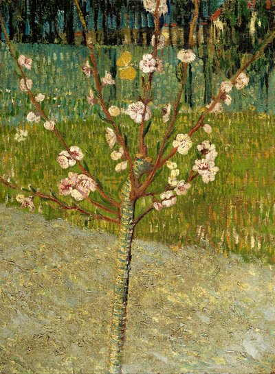  von Vincent van Gogh