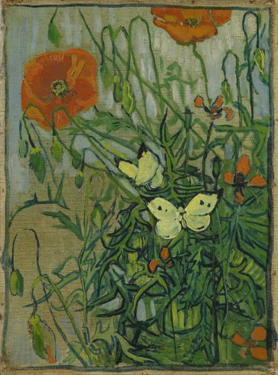 Schmetterlinge und Mohnblumen von Vincent van Gogh