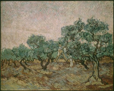 Olivenpflücker von Vincent van Gogh