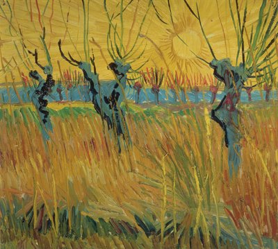 Kopfweiden und untergehende Sonne von Vincent van Gogh