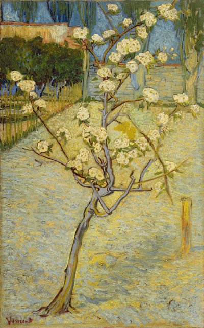 Kleiner Birnbaum in Blüte von Vincent van Gogh
