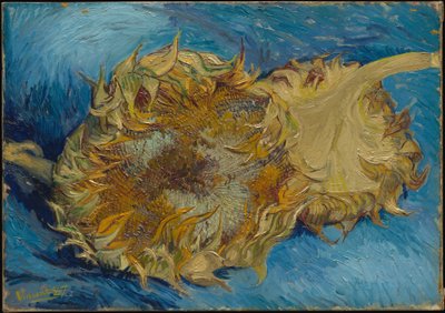 Sonnenblumen von Vincent van Gogh