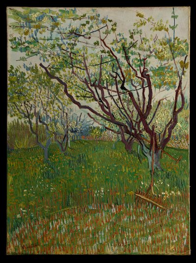  von Vincent van Gogh