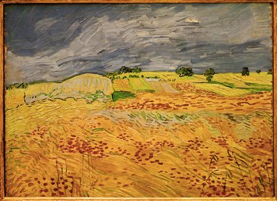 Die Ebene bei Auvers von Vincent van Gogh
