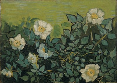  von Vincent van Gogh