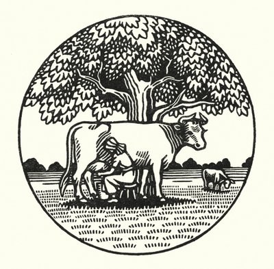 Illustration für Tess von den d